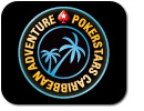 PCA-2010 -logo